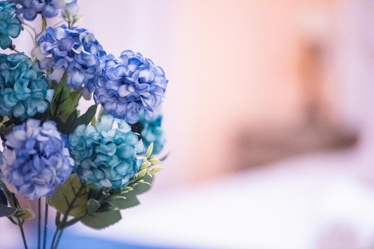 Hotel Archontiko Argyro Makrinítsa Zewnętrze zdjęcie